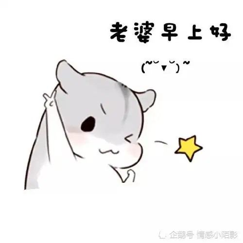仓鼠表情包我老婆穿什么都好看