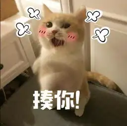高清无水印萌猫表情包生气时也要萌萌哒,迷死你的那个他
