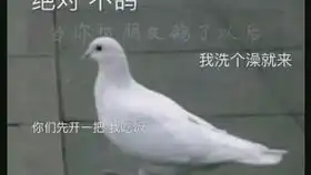 一般人都不会把自己的表情摆在脸上,成熟的人都有自己的表情包