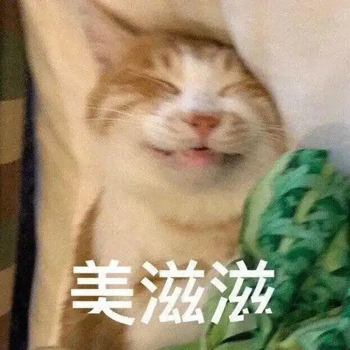 雨雪要来洛阳发布最新预警