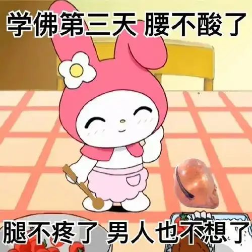阴阳大师美乐蒂表情包欢迎来到尼姑庵的世界