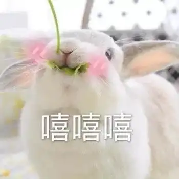 沙雕表情包我早晚拱了你这颗白菜