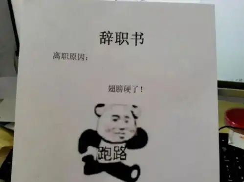 00后花样辞职信火了,表情包过于嘲讽,老板我竟无言以对