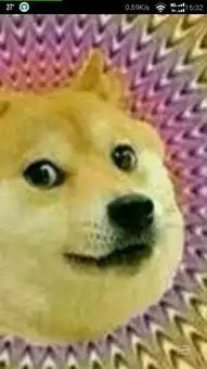 暴走漫画大黄狗表情,这狗叫什么