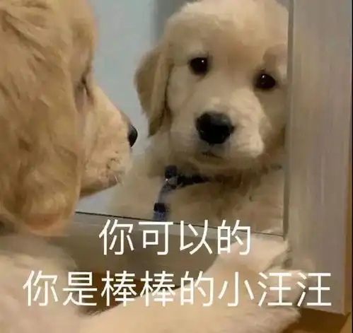 10句适合讲给朋友听的俏皮文案,沙雕有趣,多笑一笑吧
