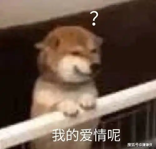 搞笑表情包图片小朋友你是否有很多问号