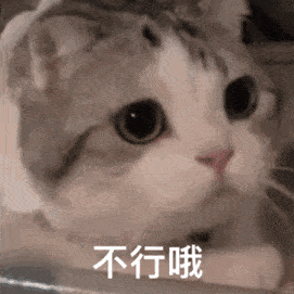 可爱仙女表情包亲亲这边建议你中意我一下