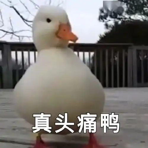 表情包丨小问号你是不是有很多朋友
