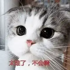丁丁老师的个人展示页