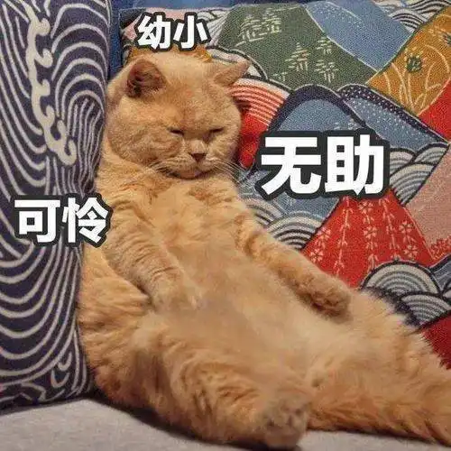 是的,我考研了,因为这些理由