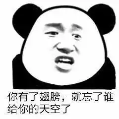 经纪人爆惊人大料他们真要领证了