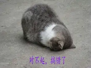难道童话,真的都是骗人哒