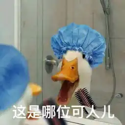 返乡此心安处