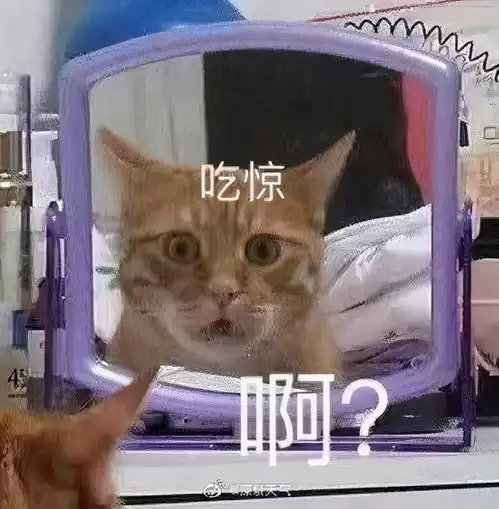 短袖党莫担心,这股全能型冷空气对深圳没影响