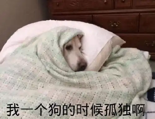 养狗要知道的小知识,要记好啦