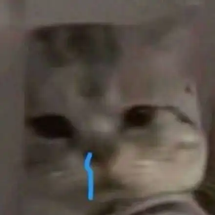 表情包生活不易,猫猫叹气