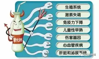 周二预告丨飞行宝宝太阳镜姓名印章我们的历史七巧板自粘书皮