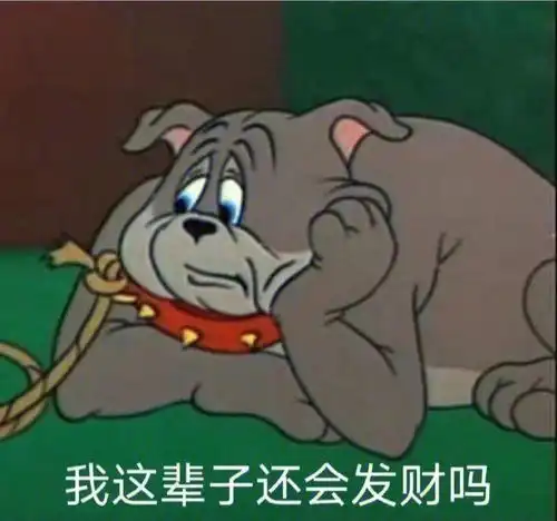整理了一些有趣好玩的段子梗