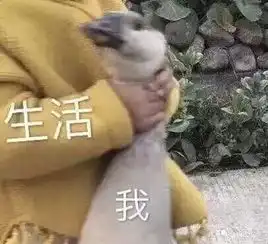 雨天行车不开灯属违法看看有多少粤s车主不懂正确开灯方式