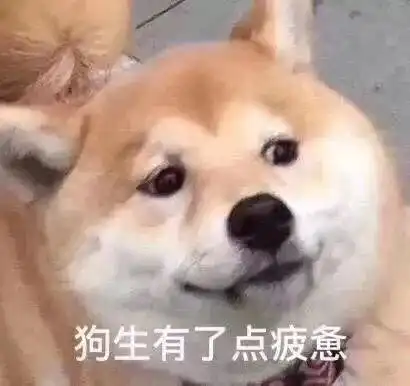 表情包能奖励一个亲亲吗