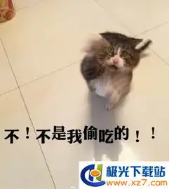 阿肥喵咪表情包下载喵咪阿肥表情包高清无水印极光下载站