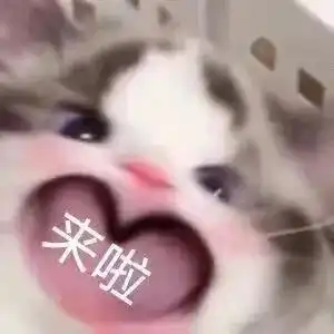 表情包我会在心动期间无限爱你