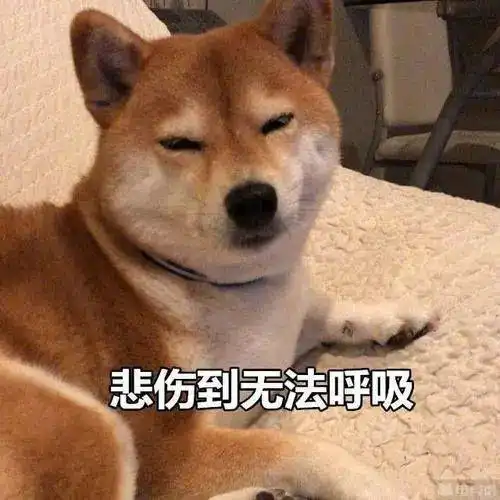喜大普奔人大代表建议制定反虐待动物法