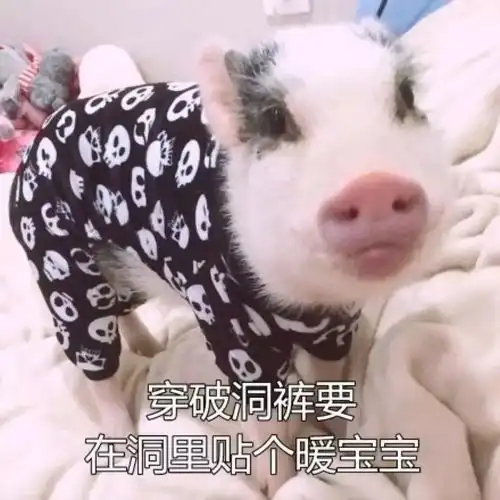 同是90后佛系养生,为何同龄不同命