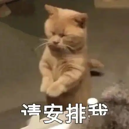 七躲避又怎样你尽管躲,逆天不修双最大核武还不是在我手上