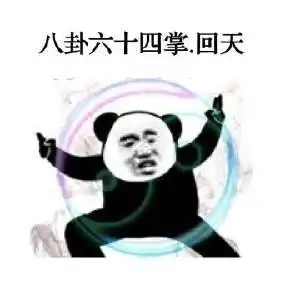 泰拳警告算什么这才是熊猫人大招,功夫表情包