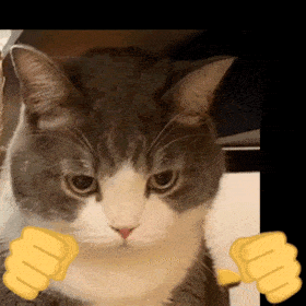 表情包动态可爱表情包