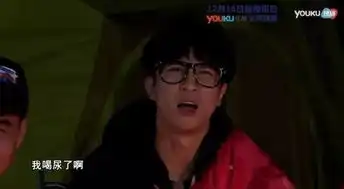 黄晓明刘烨沙溢阮经天薛之谦岳云鹏被丢到荒岛上,然后他们就变成了表情包