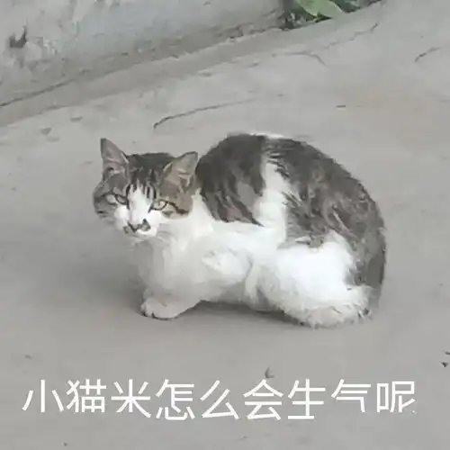 沙雕表情申请加入你的被窝
