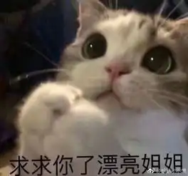 哄女朋友的表情包求求你了,漂亮姐姐