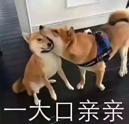 萧敬腾快走开...我们不要下雨