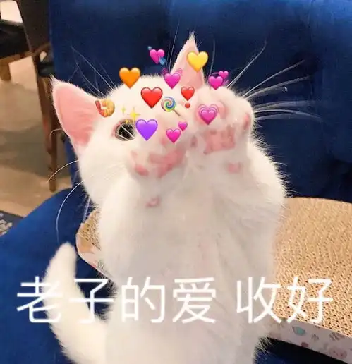 500人了