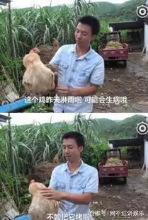 竹鼠表情包爆红竹鼠华农兄弟你才中暑你才抑郁