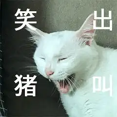 大尾巴狼的相册表情包丑白毛33