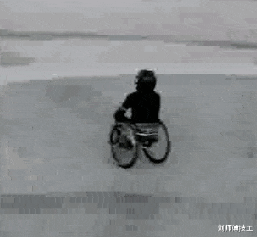 蛇大家别慌,是我报的警大哥可真是个狠人啊
