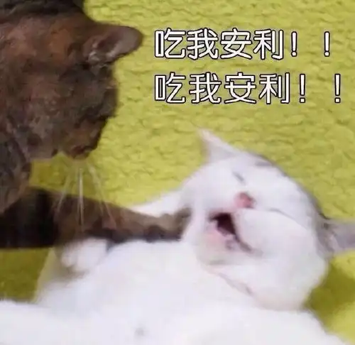 学了景甜的烘焙定妆法还脱妆还不是你没用55美妆达人的长效定妆法