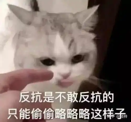 求下面这个猫猫的表情包应该有很多
