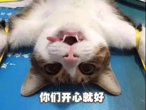这些被医生职业耽误的段子手,要不是被麻醉,我就错过了