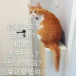 超搞笑全新萌宠带字头像无敌可爱天冷有什么事到我被窝里说