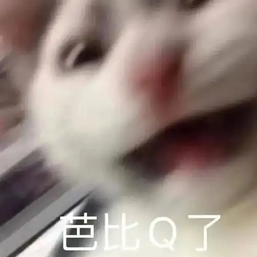 内心虚弱,害怕被看穿的星座