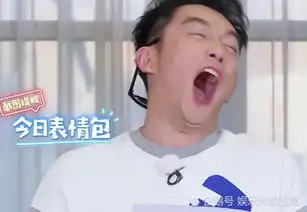 跑男团贡献表情包,黄旭熙形象都不要,谁注意这两位,偶像包袱太重