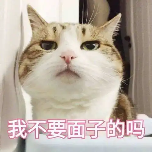姑娘满脸红痘竟是长了脚气爱吸猫的人一定要当心
