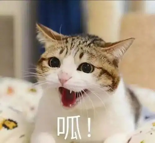 震惊华理学子不仅晨跑竟然还做这个