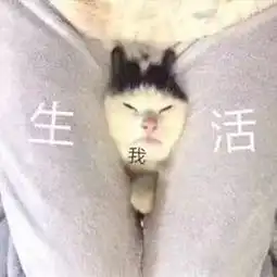 生活待你如私生子不仅关上一扇门,还顺带夹爆你的脑子