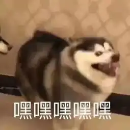 英语之星大赛华园故事王决赛之夜