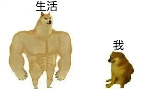 顶流表情包柴犬去世,全球十亿网友哭成泪人